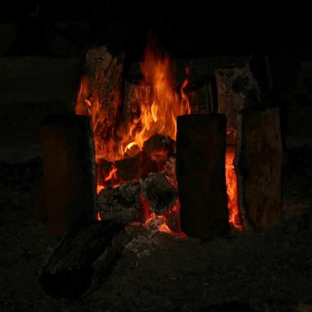 IMG_3781.JPG